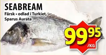 Matvärlden Tensta Seabream erbjuda
