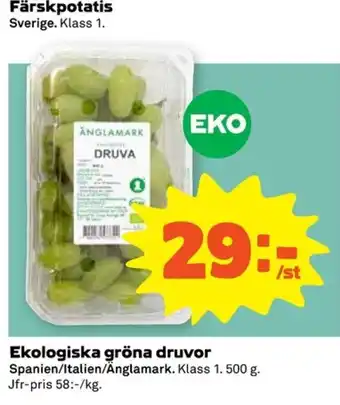 Ånglamark gröna druvor