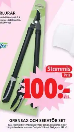 ICA Maxi Ica grensax och sekatör set erbjuda