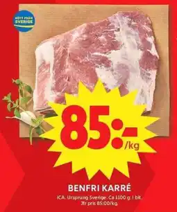 ICA Maxi Benfri karré erbjuda