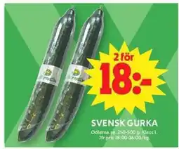 ICA Maxi Gurka erbjuda