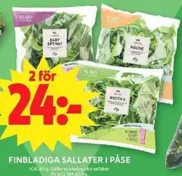 ICA Maxi Ica finbladiga sallater erbjuda