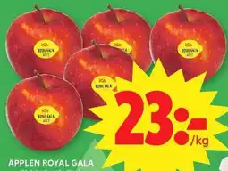 ICA Maxi Äpplen royal gala erbjuda