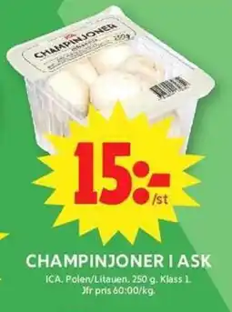 ICA Maxi Champinjoner i ask erbjuda