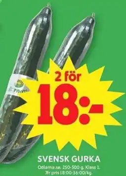 ICA Maxi Gurka erbjuda