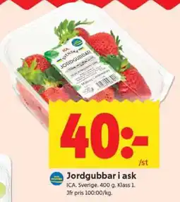 ICA Supermarket Jordgubbar i ask erbjuda