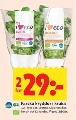 ICA Supermarket Färska kryddor i kruka erbjuda