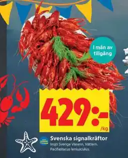ICA Supermarket Svenska Signalkräftor erbjuda