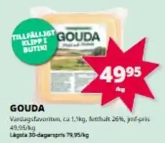 Gouda