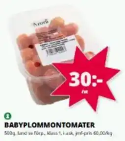Tempo Azura babyplommontomater erbjuda
