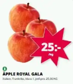 Tempo Apple royal gala erbjuda