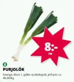 Tempo Purjolök erbjuda