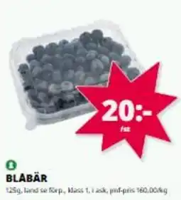 Tempo Blabär erbjuda