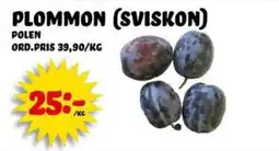 Nelins Plommon erbjuda