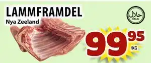 LAMMFRAMDEL