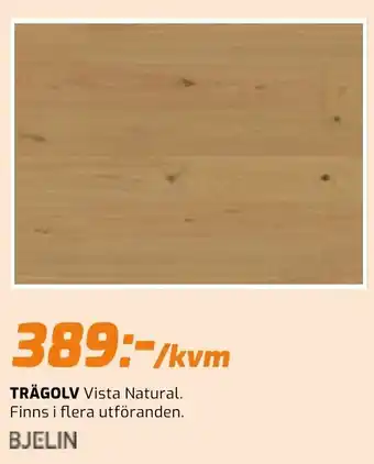 Bjelin trägolv vista natural