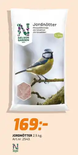 Järnia Nelson Garden jordnötter erbjuda