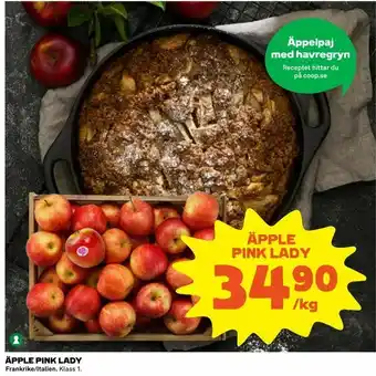 Äpple pink lady