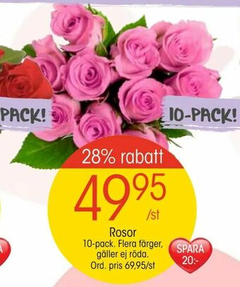 Rosor. 10-pack