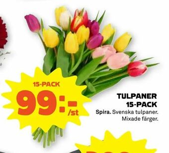 Stora Coop Tulpaner 15-pack erbjuda