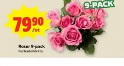 Stora Coop Rosor 9-pack erbjuda