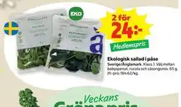 Stora Coop Ekologisk sallad i påse, Medlemspris erbjuda