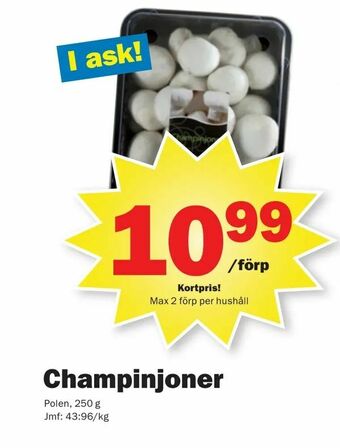 Pekås Champinjoner erbjuda