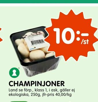 Tempo Champinjoner erbjuda