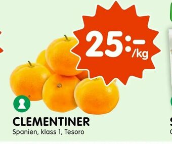 Tempo Clementiner erbjuda