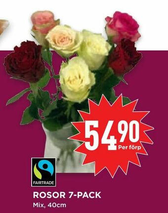 Willys Hemma Rosor 7-pack erbjuda
