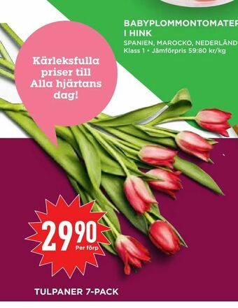 Willys Hemma Tulpaner 7-pack erbjuda