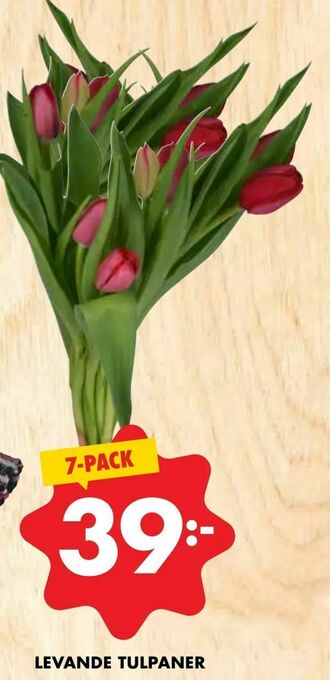 ÖoB Levande tulpaner erbjuda