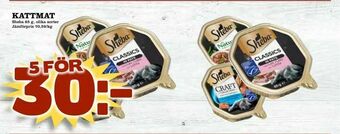 Matvärlden Tensta Kattmat erbjuda