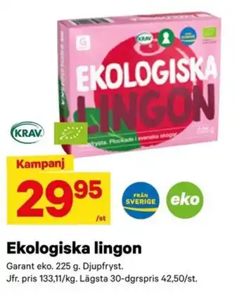 Lingon