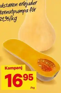 City Gross ternutpumpa erbjuda