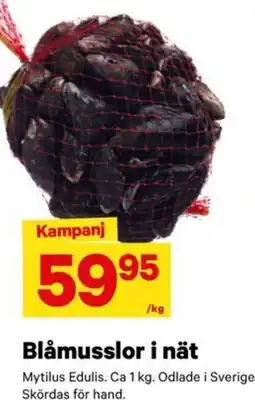 City Gross Blåmusslor i nät erbjuda