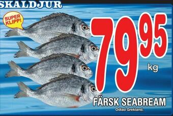 Nya Pulsen Färsk seabream erbjuda