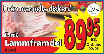 Supergrossen Lammframdel erbjuda