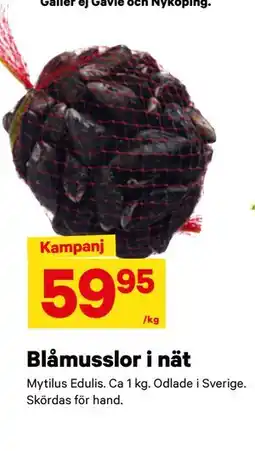 City Gross Blåmusslor i nät erbjuda