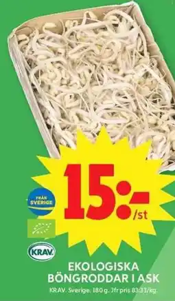 ICA Maxi Böngroddar i ask erbjuda