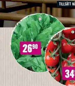 Hornbach FLORASELF Spenatfrön ’Matador’ erbjuda