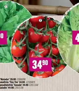 Hornbach HASSELFORS GARDEN Tomatfrön ’Tiny Tim’ erbjuda