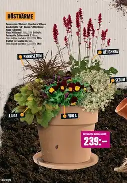 Hornbach Terracotta Calima antik erbjuda