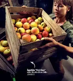 Hornbach Äppellåda First Class erbjuda