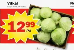 Pekås Vitkål erbjuda