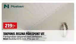 Bauhaus TAKPANEL REGINA PÄRLSPONT VIT erbjuda