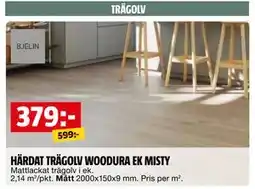 Bauhaus HÄRDAT TRÄGOLV WOODURA EK MISTY erbjuda