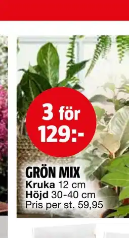 Bauhaus GRÖN MIX erbjuda