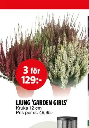 Bauhaus LJUNG 'GARDEN GIRLS' erbjuda