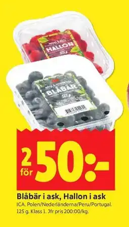 ICA Kvantum Blåbär i ask, Hallon i ask erbjuda